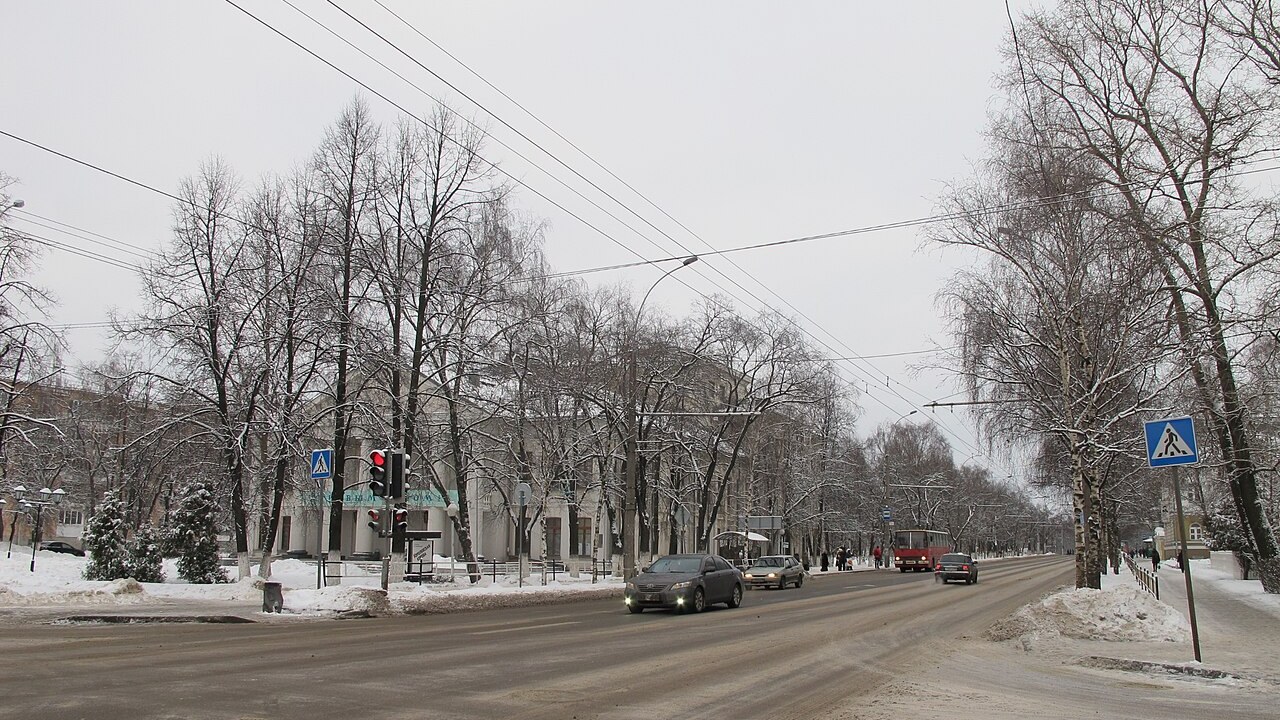 — Отца не бери, он старый, проку с него нет, а сама приезжай, будешь у нас полы мыть, — сказал зять теще